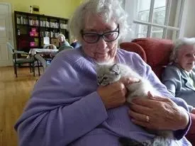 woman pets kitten