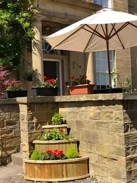 July 2018 - the garden