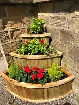 July 2018 - the garden