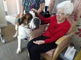 August 2018 - Dog and Kitten