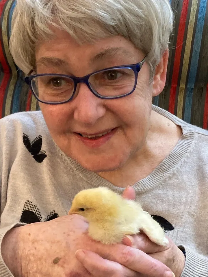We hatched some eggs!