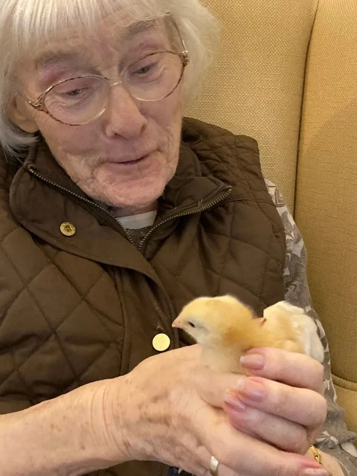 We hatched some eggs!