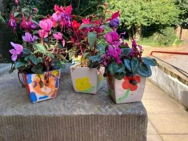 Summer 2020 plant pot painting and gardening