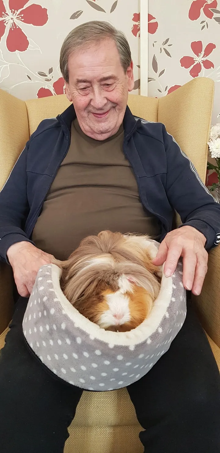 Smiling man holds colourful long-haired rabbit