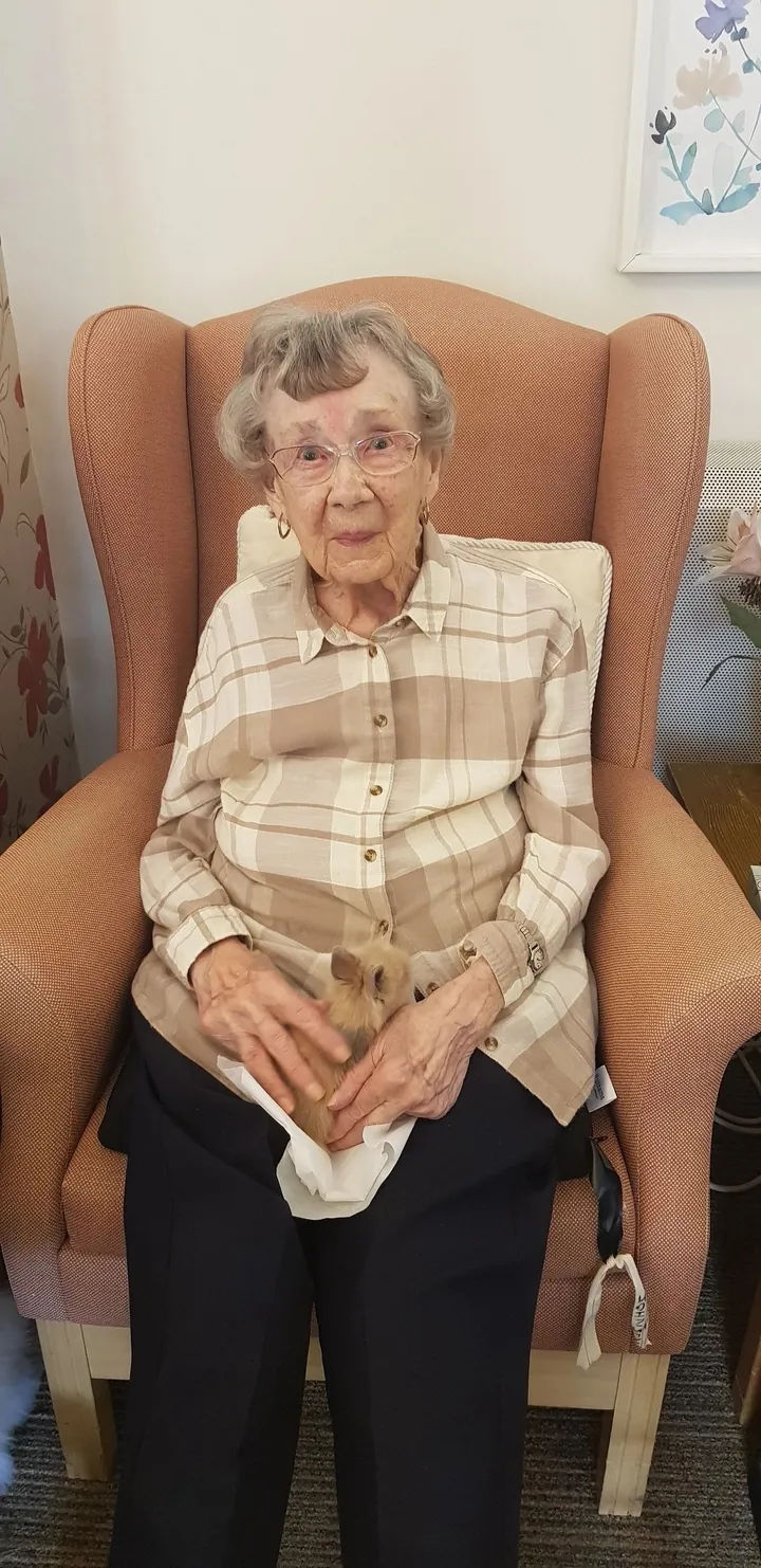 Woman looks at the camera while holding a brown rabbit