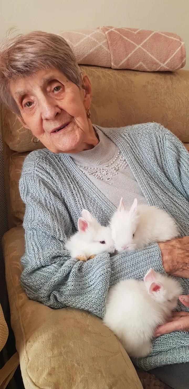 Brave woman takes charge of three baby rabbits