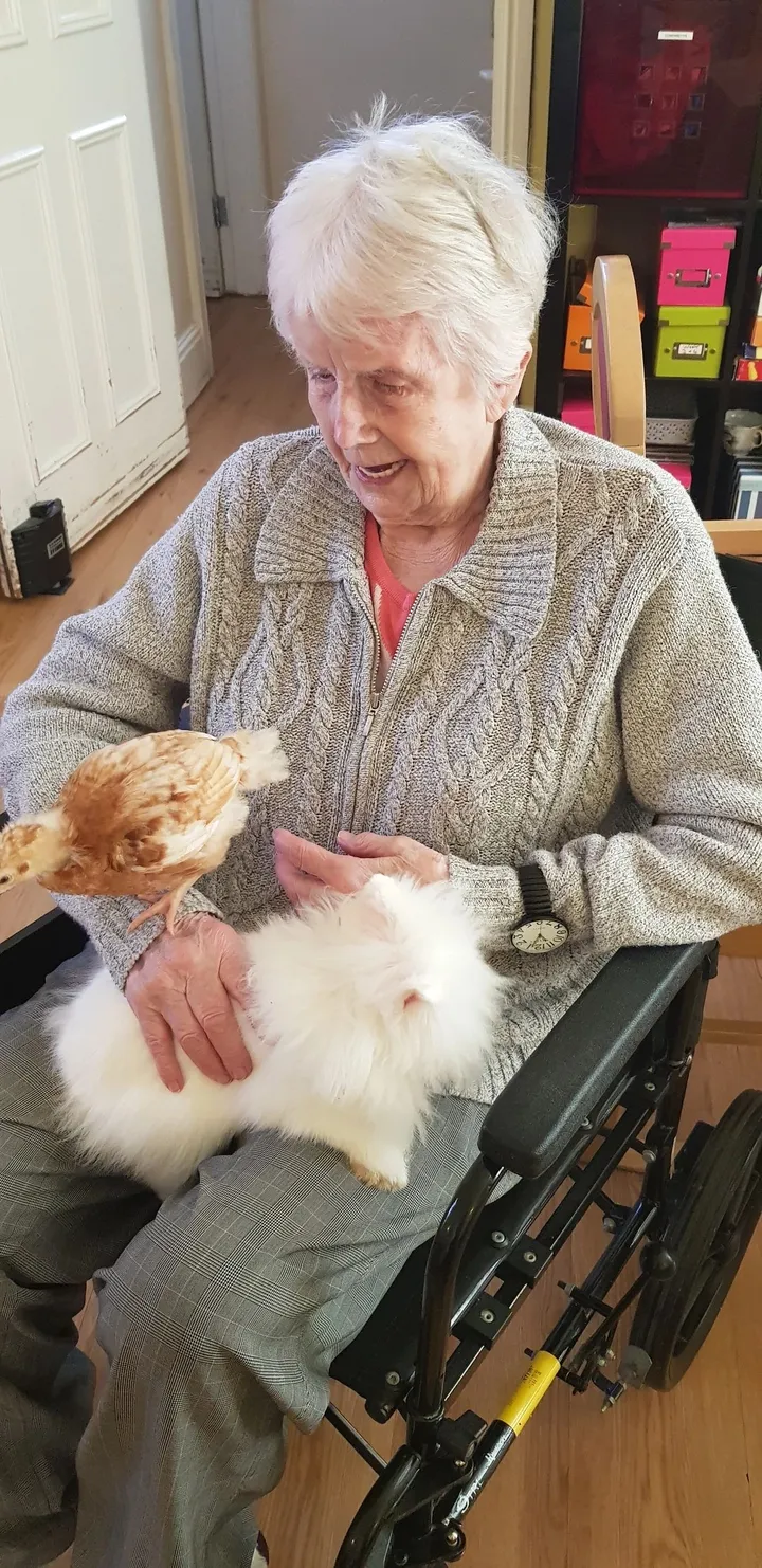 Woman takes care of a chicken and a very furry animal
