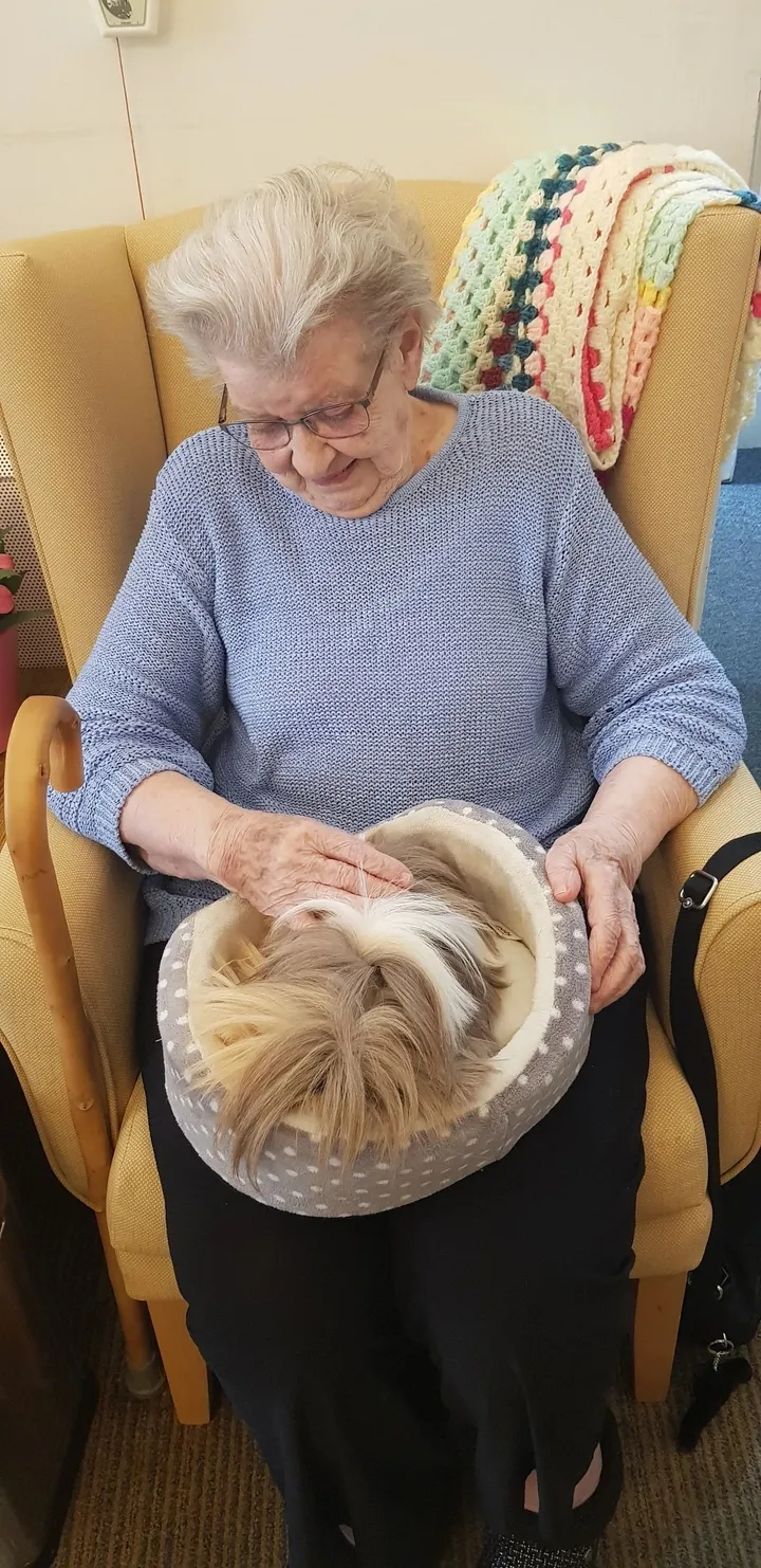 Woman leans over basket containing long-haired colourful rabbit