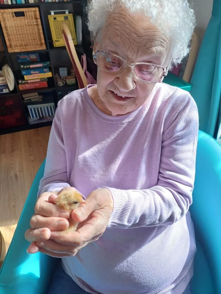 A woman carefully holds an Easter chick in both hands