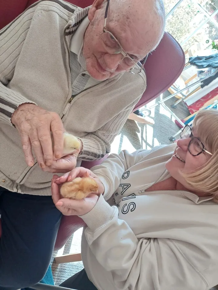A man and a woman both hold Easter chicks