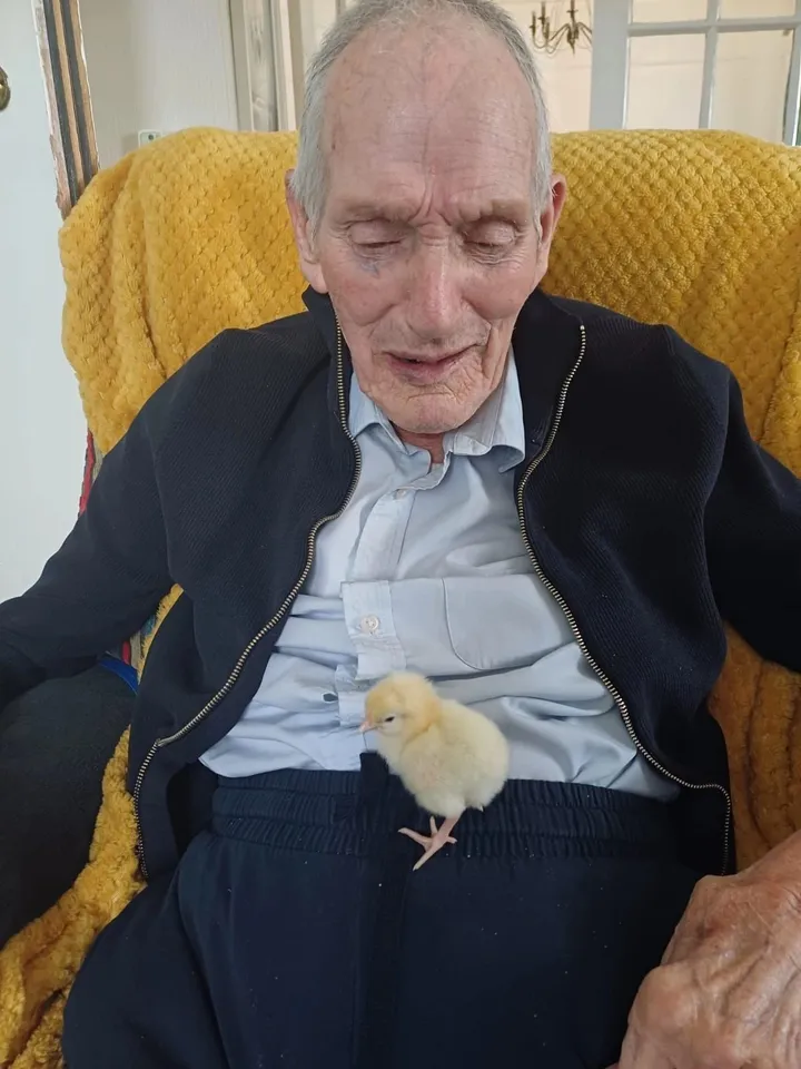 Man has Easter Chick on lap