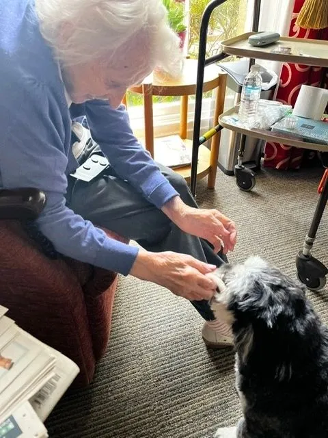 Woman strokes nose of Max the dog