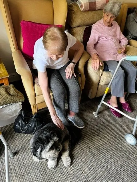 Max the dog visits Springfield House
