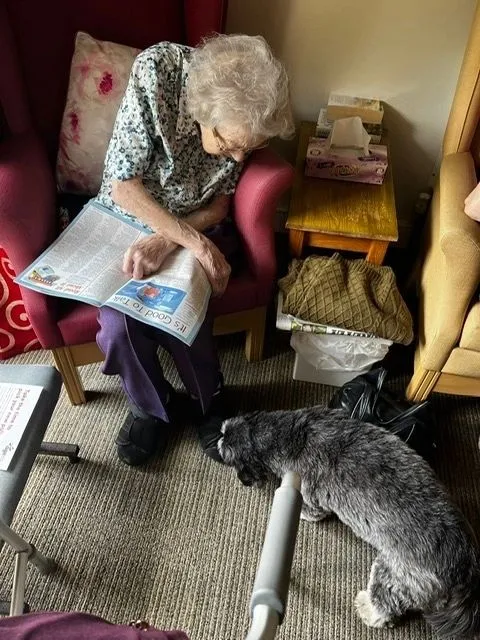 Dog plays near woman
