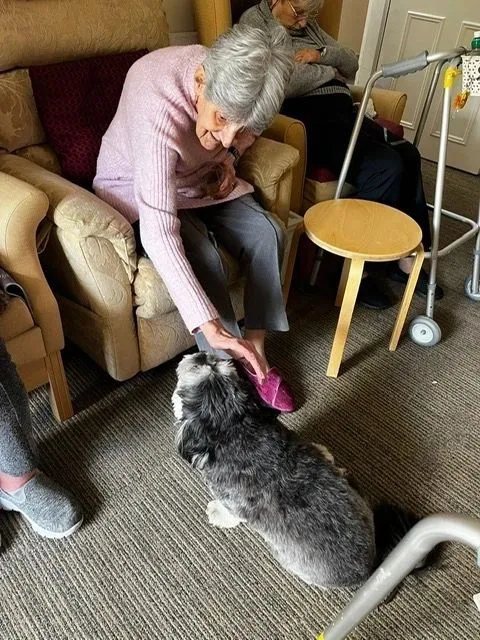 Max the dog looks up at a woman who is stroking his ears